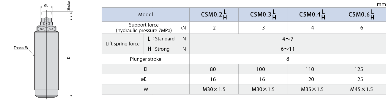 CSM