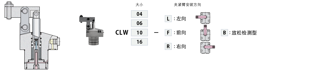 CLW-B