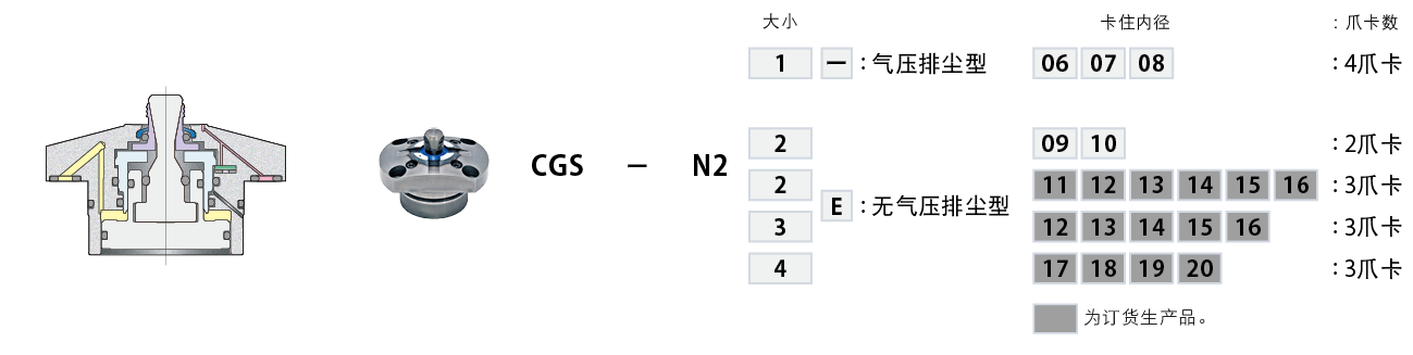 CGS-N2