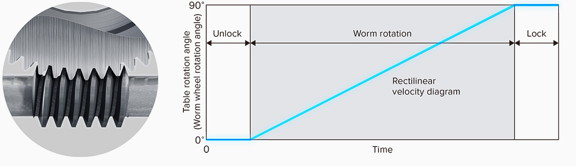 Worm gear curve