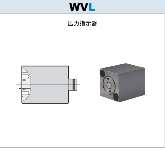 7MPa压力指示器WVL