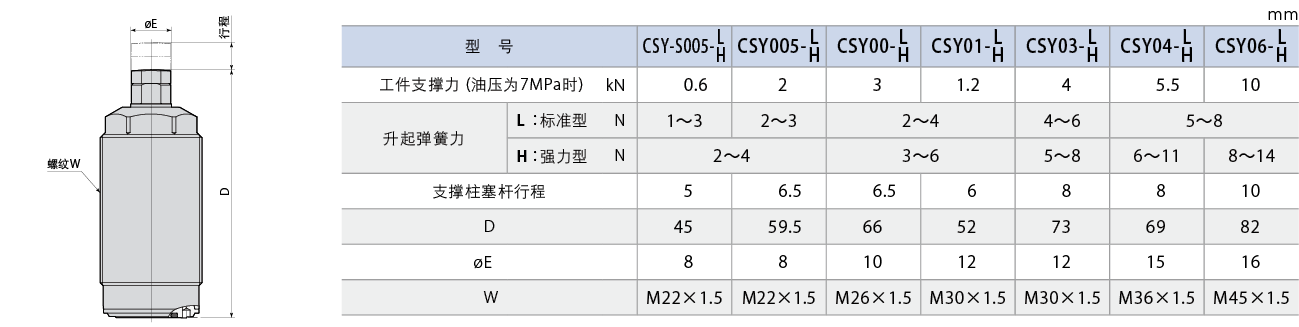 CSY