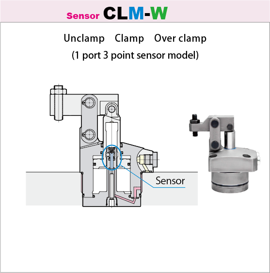 CLM-W