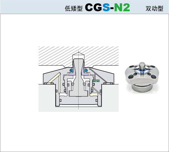 CGS-N2