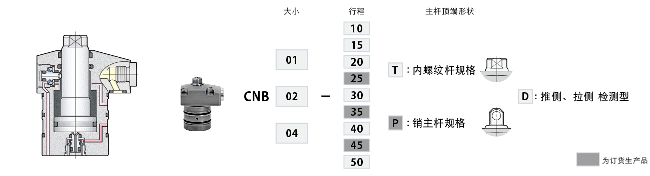 CNB-D