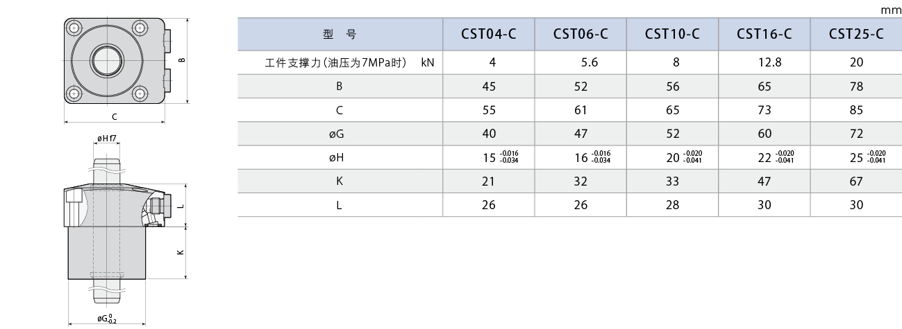 CST-C