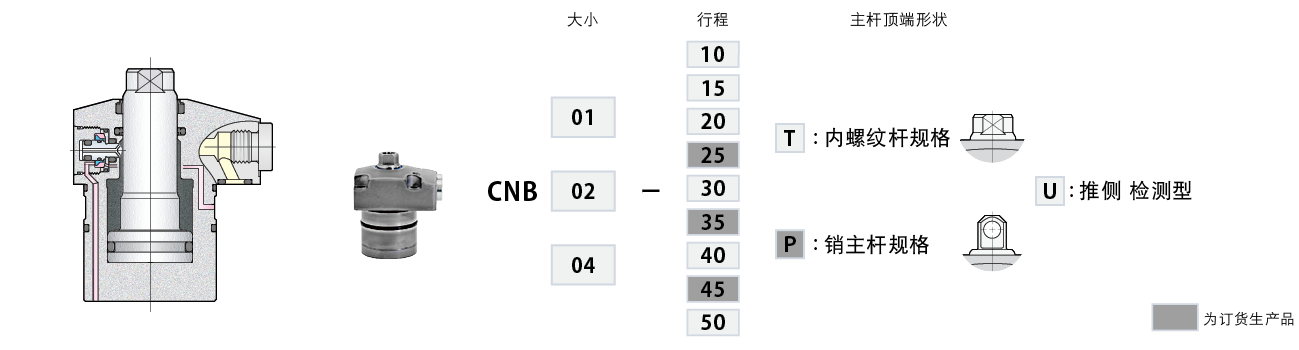 CNB-U