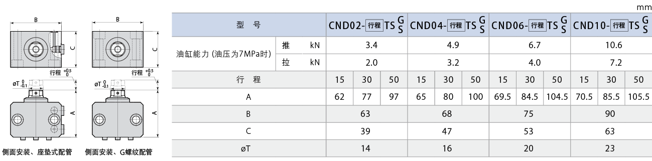 CND-TS