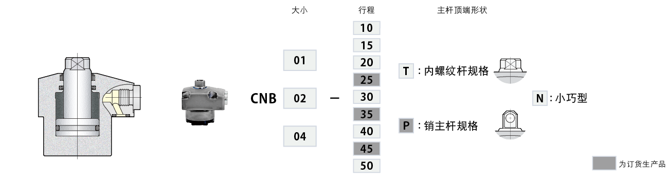 CNB-N