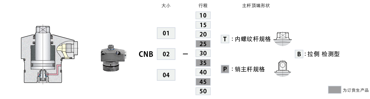 CNB-B