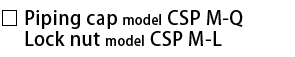 CSPM-Q.png